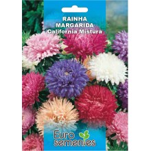 EUROSEMENTES FLORES RAINHA MARGARIDA